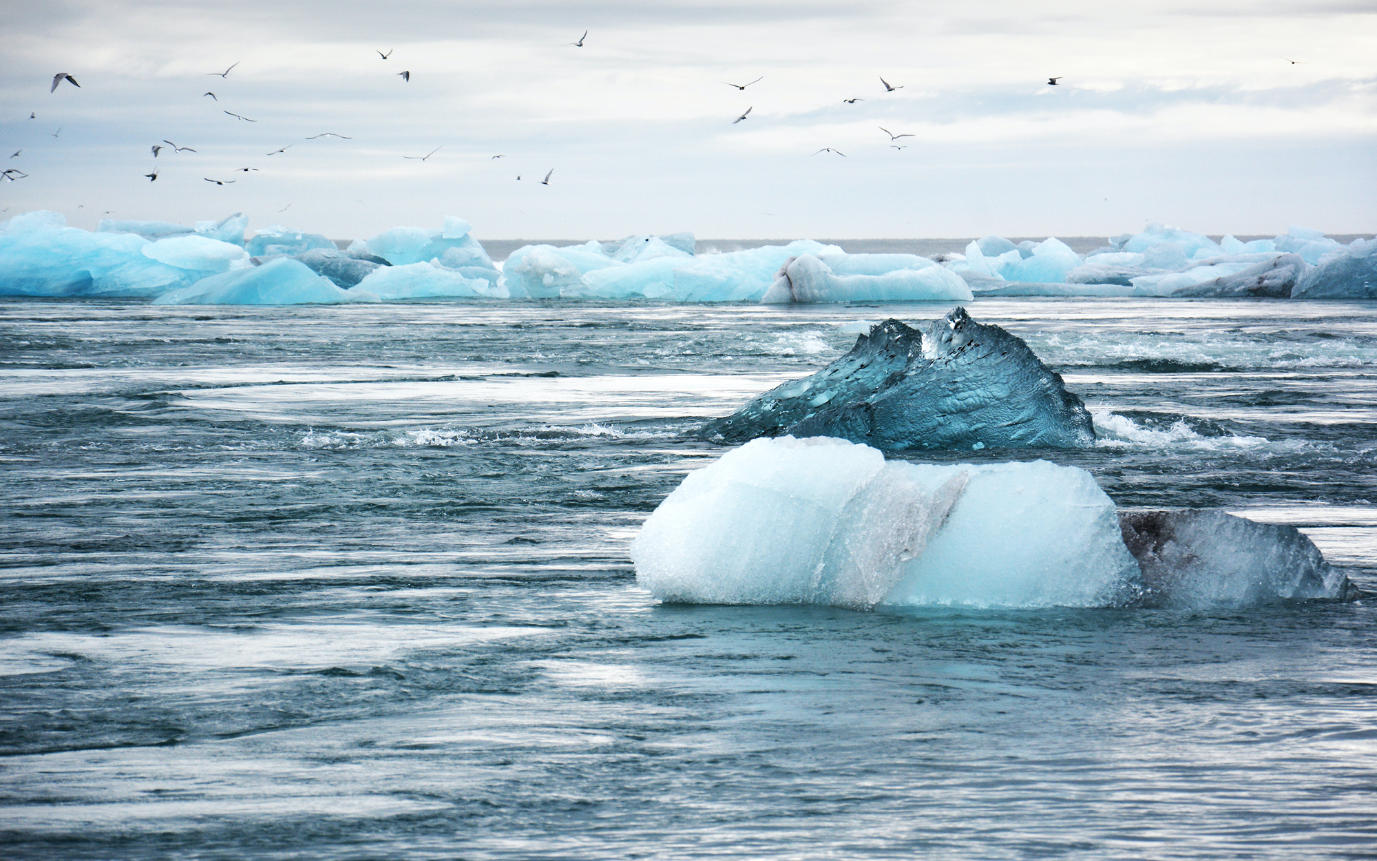 Bilde av havet med isflak. Fugler som flyr paa himmelen.